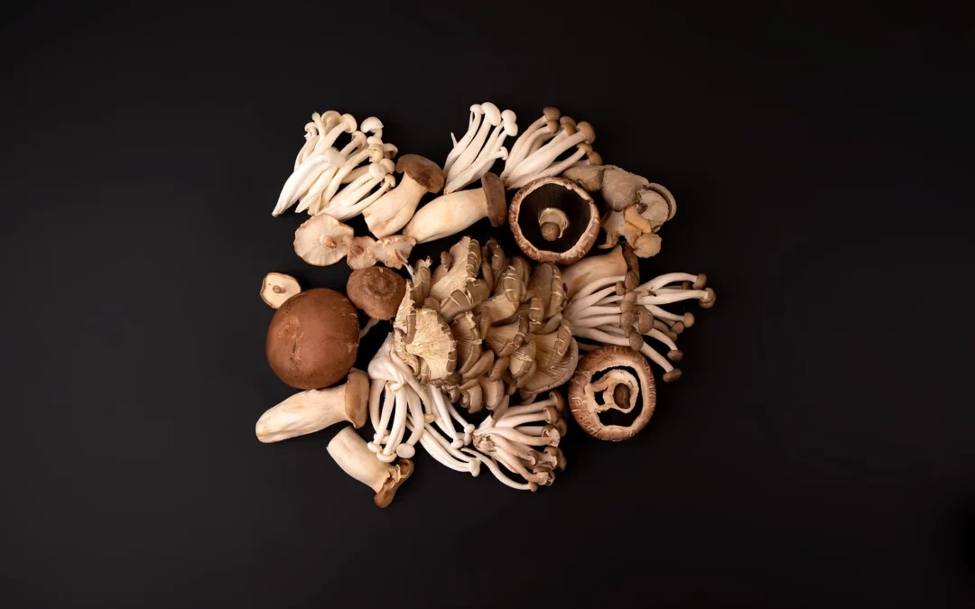 Psilocybin, the “new” medicinal frontier & insurance capabilities for this emerging industry
