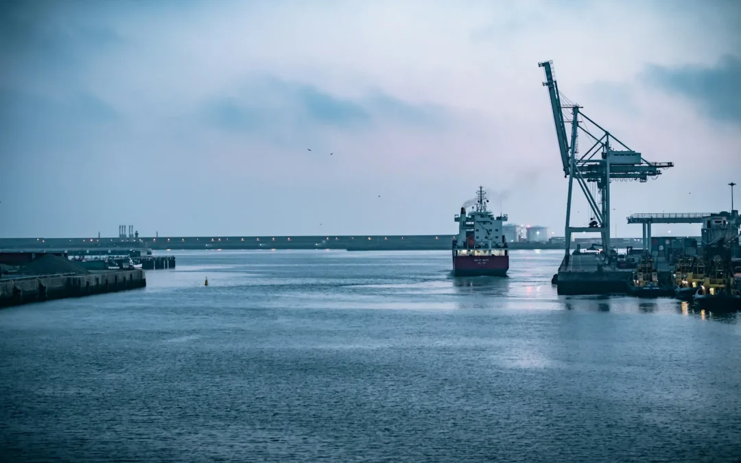 Understanding Trade Credit Insurance: Protect Your Business from Unpaid Invoices