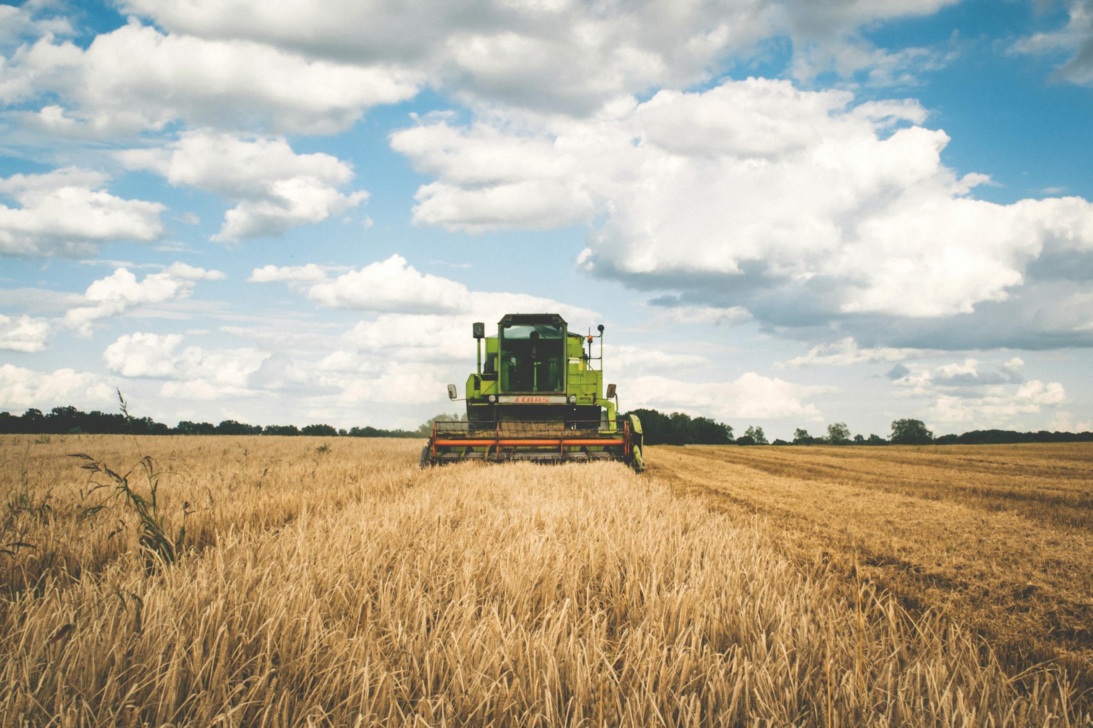 From Seed to Sale: Why One Broker Should Handle Your Entire Risk Strategy